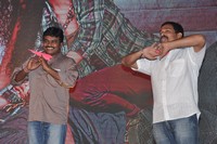 Pora Pove Audio Launch